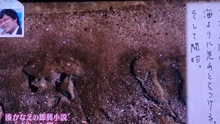iJC̑